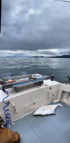 21a847f5-f314-45c2-8335-9c7d5a4e9e74