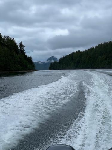 27b61af0-baa0-4c68-8105-0f78e994eaf3