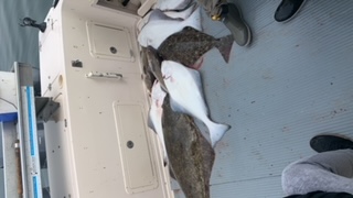 2AA7B4D1-C26A-4478-92BF-549FEA990D26