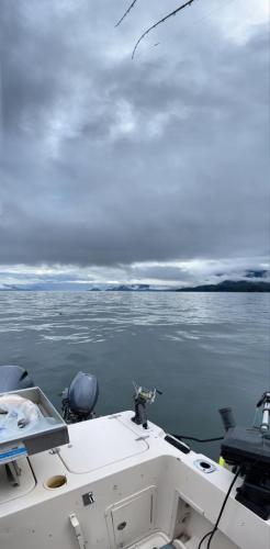 5aadf4a7-fef0-45c3-93fc-ba7444efa4e0