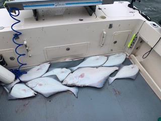 67725858053  C4E7A343-BBCC-4332-882E-5239A4503EB2